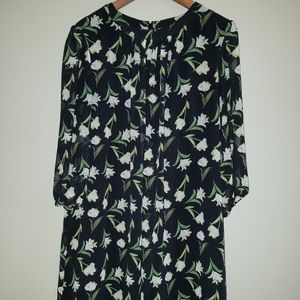 New York &Company Eva Mendes Collection